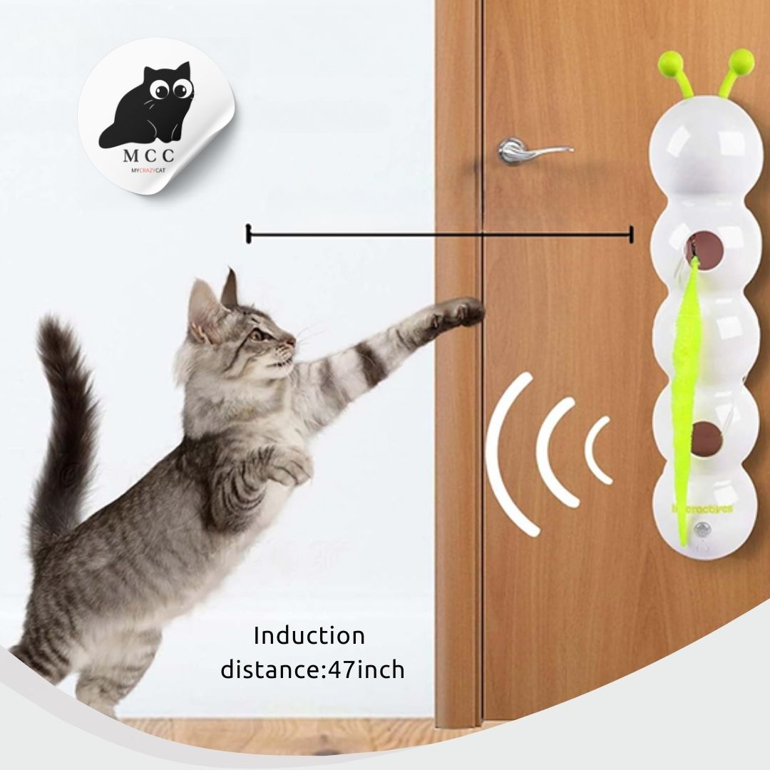 Wiggly Smart Caterpillar – Keeps Cats Active