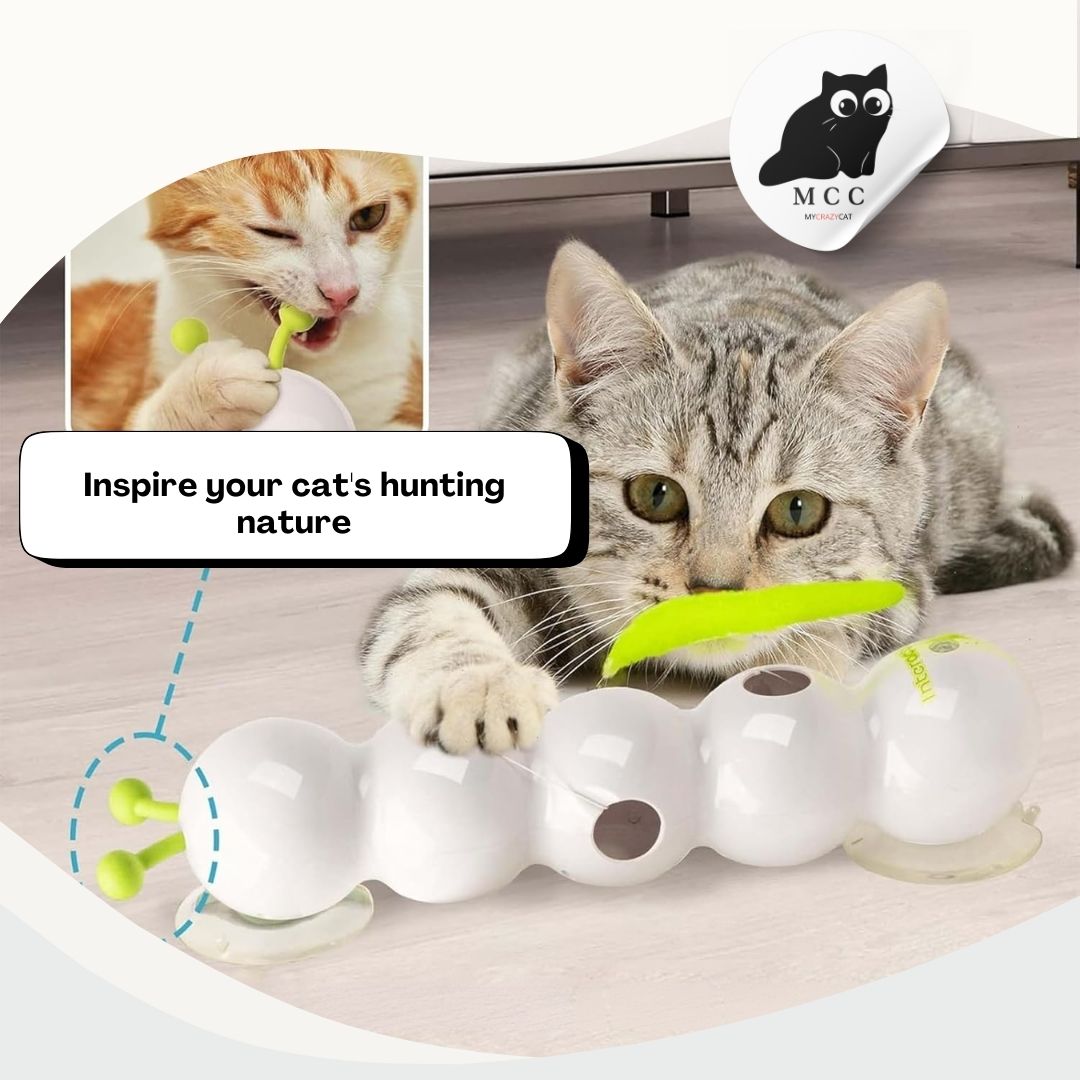 Wiggly Smart Caterpillar – Keeps Cats Active