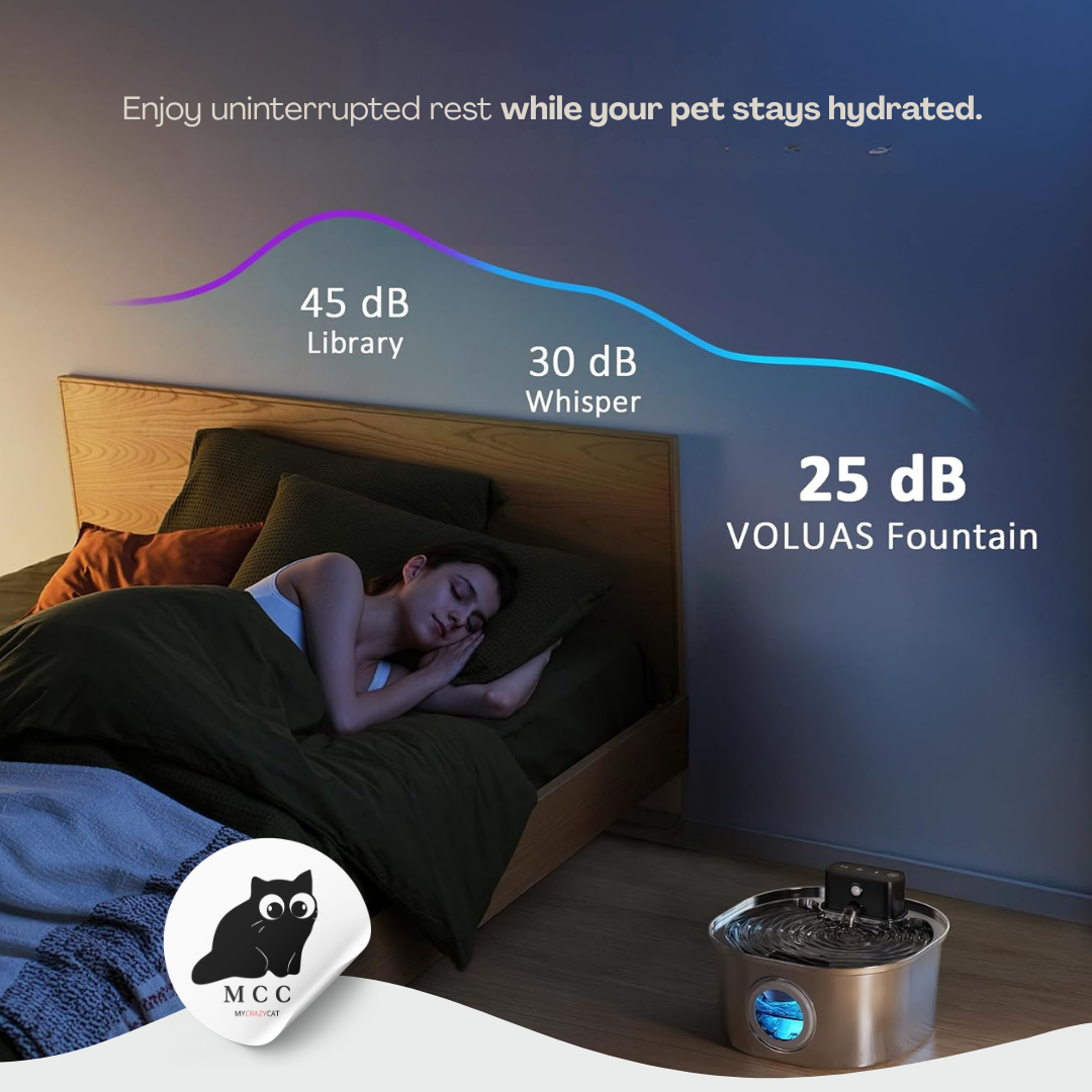 Smart Stainless Steel Pet Fountain with FREE GIFT